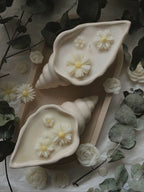 Ocean Bloom – Shell Candle with Rose Accent (Buy 1 Get 1 Free)