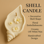 Ocean Bloom – Shell Candle with Rose Accent (Buy 1 Get 1 Free)